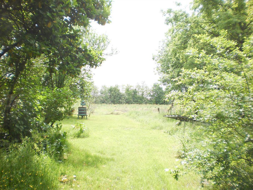 Green Fields Padua Buitenkant foto