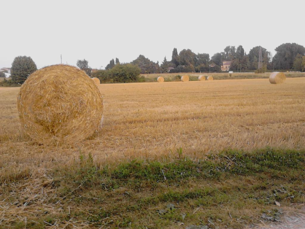 Green Fields Padua Buitenkant foto