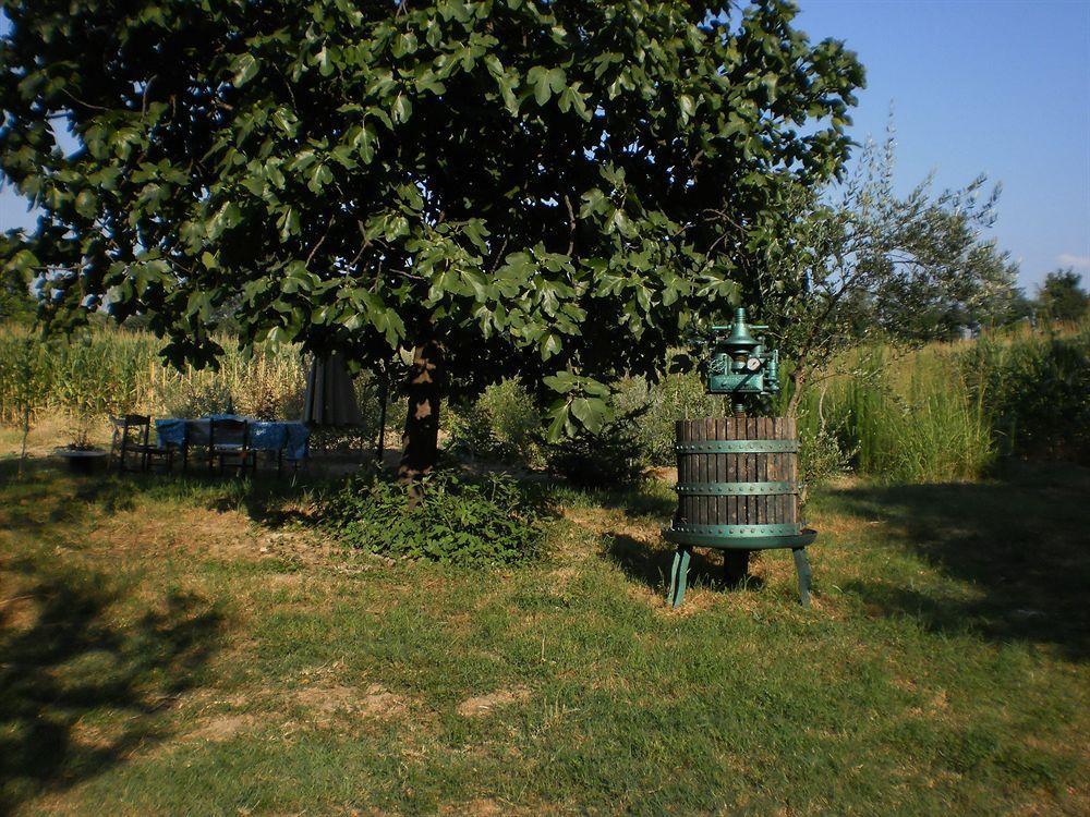 Green Fields Padua Buitenkant foto